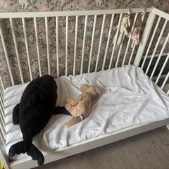 ikea cot