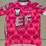 Rapha Pro Team EF Training Jersey Image 5