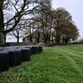 Baled silage for sale. Image 3