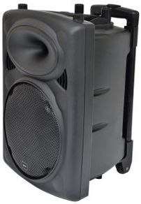 10" Portable PA Speaker