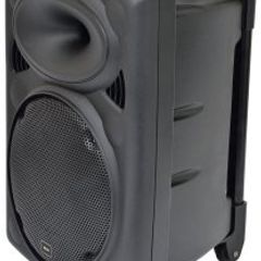 10" Portable PA Speaker