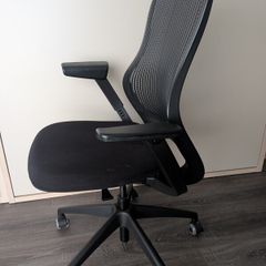 Knoll Regeneration Ergonomic Office Chair