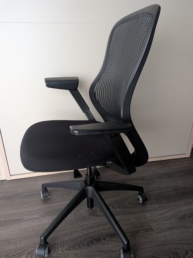 Knoll Regeneration Ergonomic Office Chair