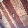 Solid Wood Coffee Table Image 4