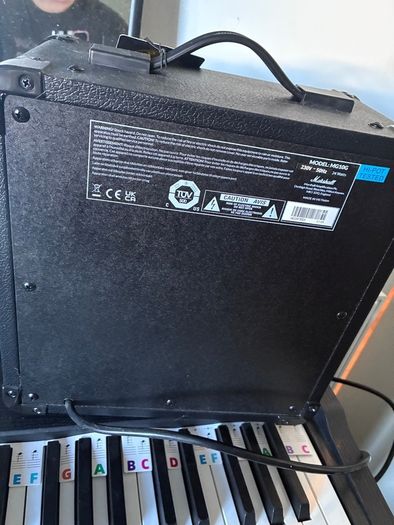 amp new