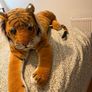 Large Tiger Image 3