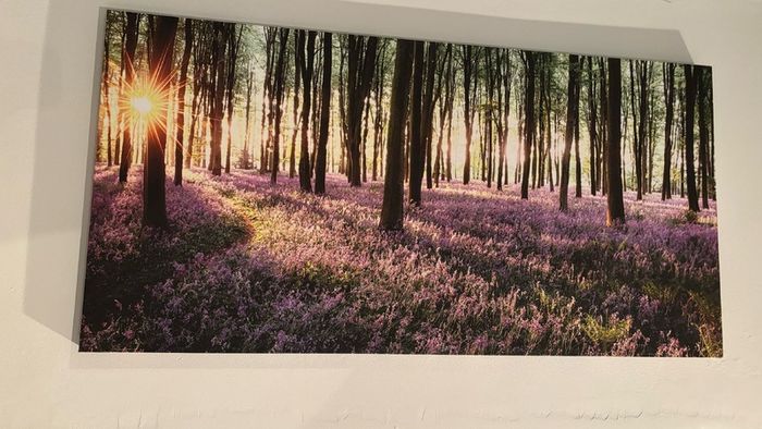 Bundle of Canvas Prints