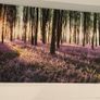 Bundle of Canvas Prints Image 4
