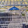 Heavy Duty Metro Wire Shelf Utility Rolling Cart / Shelved Trolley Image 4
