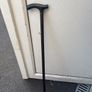 walking stick Image 2
