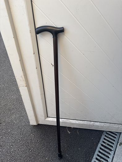 walking stick