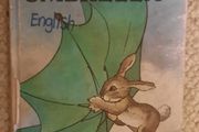 Vintage Ladybird The Green Umbrella