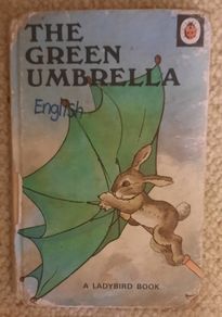 Vintage Ladybird The Green Umbrella