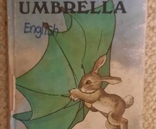Vintage Ladybird The Green Umbrella