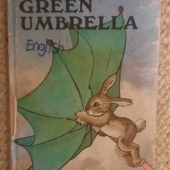 Vintage Ladybird The Green Umbrella