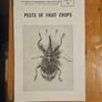 Vintage Department Of Agricultural Pamplets,and Leaflets X 13. In Good Condition.  See Photos For Same. Image 7