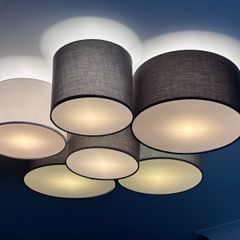 Ceiling lampshade