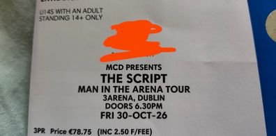 1 Standing ticket for The Script