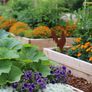 Ground Cover Weed Membrane Heavy Duty Landscape Ground Cover Membrane for Gardens 1m x 10m Image 3