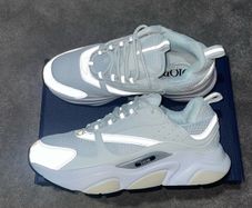 White Dior b22s reflective