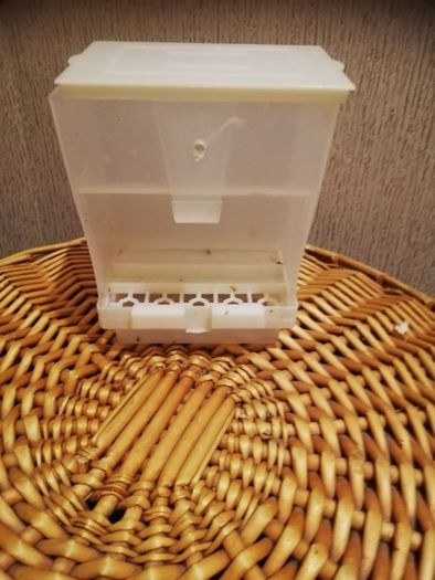 Bird  seed container