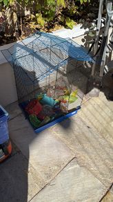 Hamster cage