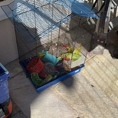 Hamster cage