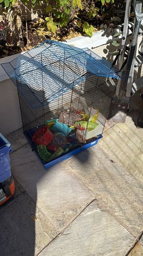 Hamster cage