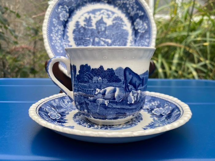 English Scenic Staffordshire Adam's England trio