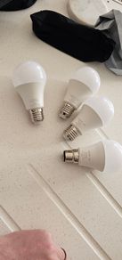 lepro bulbs