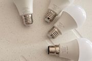 lepro bulbs