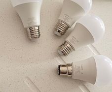 lepro bulbs
