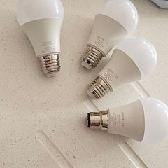 lepro bulbs