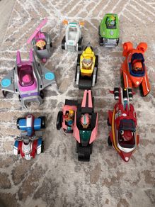 Paw Patrol cars and pups