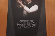 Hottoys Han Solo MMS261 Hot Toys