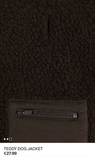 H&M Brown Teddy Dog Jacket XXS / Smallest Size