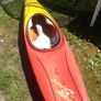 Perception Sonic Kayak  Perfect for Summer Image 2