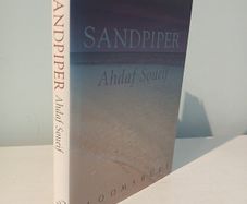 Sandpiper by Ahdaf Soueif