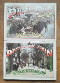 Picture That & Picture That Again - Cork Books