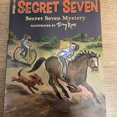 Secret Seven Mystery (Enid Blyton)