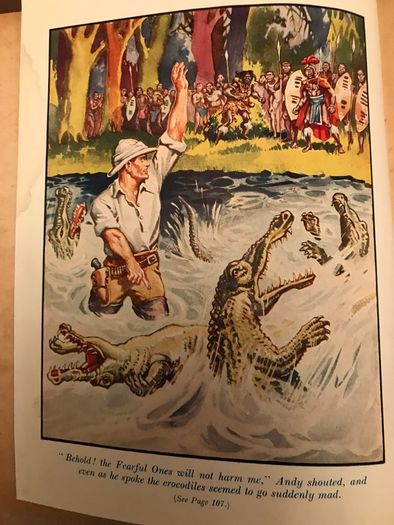 Vintage 'The Rover Book for Boys'