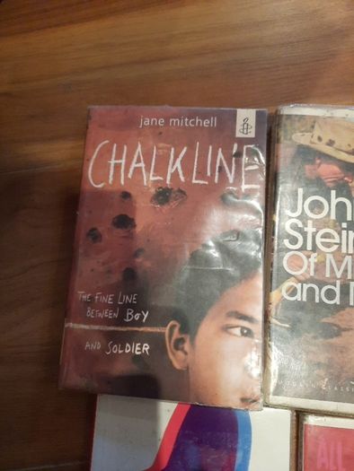 Novels for secondary school