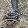 wheels Image 2