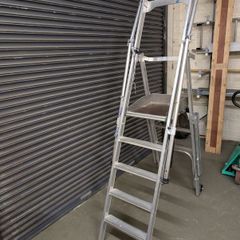 Tubesca Raptor Fixed Podium Ladder