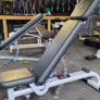 Fully Commercial Gym Benchs Top Brands Nautilus And True Fitness Image 6