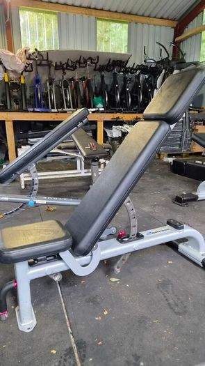 Fully Commercial Gym Benchs Top Brands Nautilus And True Fitness