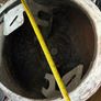 cement /concrete mixer Image 7