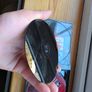 GTA Collector's Edition Image 6