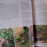 Grow Food For Free / Huw Richards / 2020 Image 10