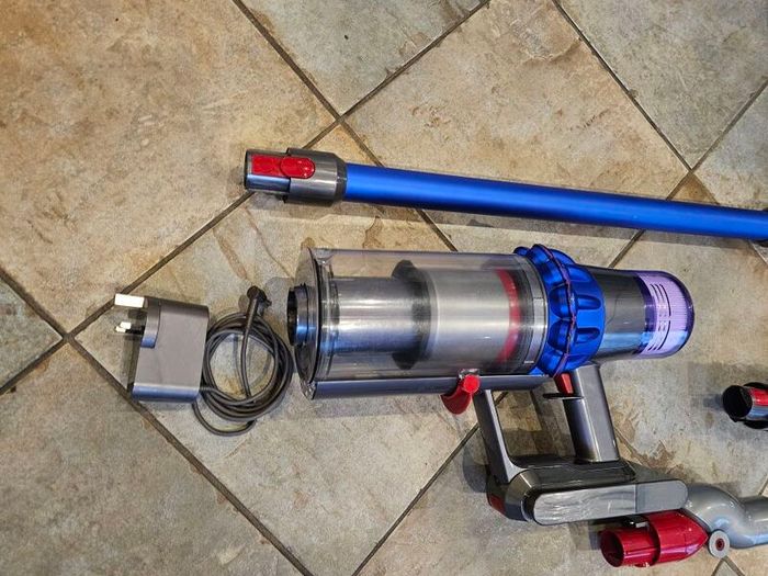 Dyson V15 detect